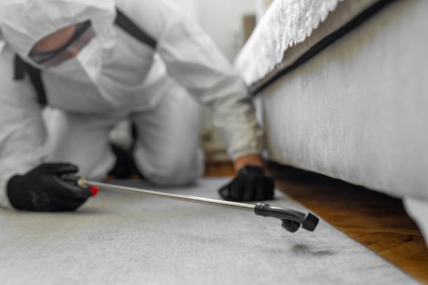 Professional Termite Control technician working in Thunderbolt, GA