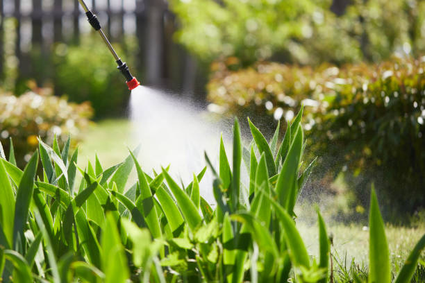 24/7 Emergency Termite Control experts in Thunderbolt, GA