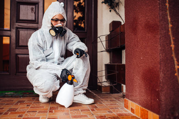 Reliable Termite Control contractor in Thunderbolt, GA by Nex Pest Control