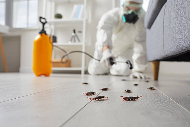 Affordable Termite Control solutions in Thunderbolt, GA